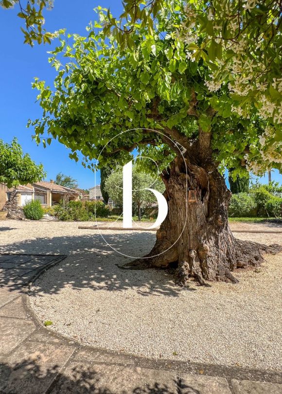 vente Mas Goudargues