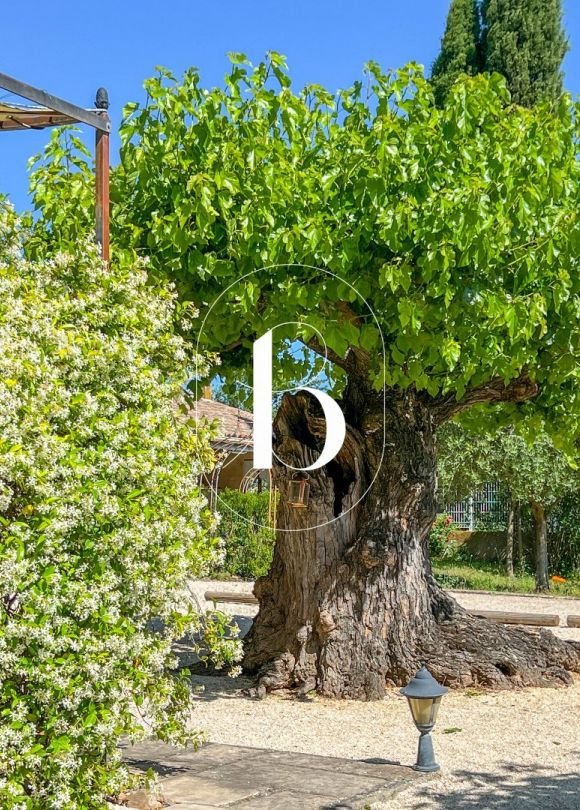 vente Mas Goudargues