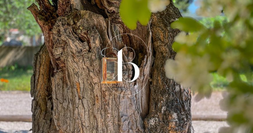 vente Mas Goudargues