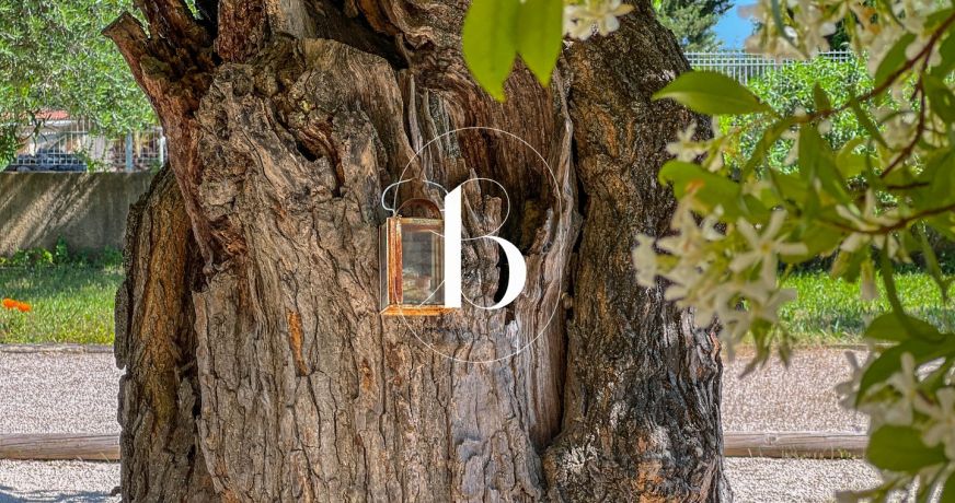 vente Mas Goudargues