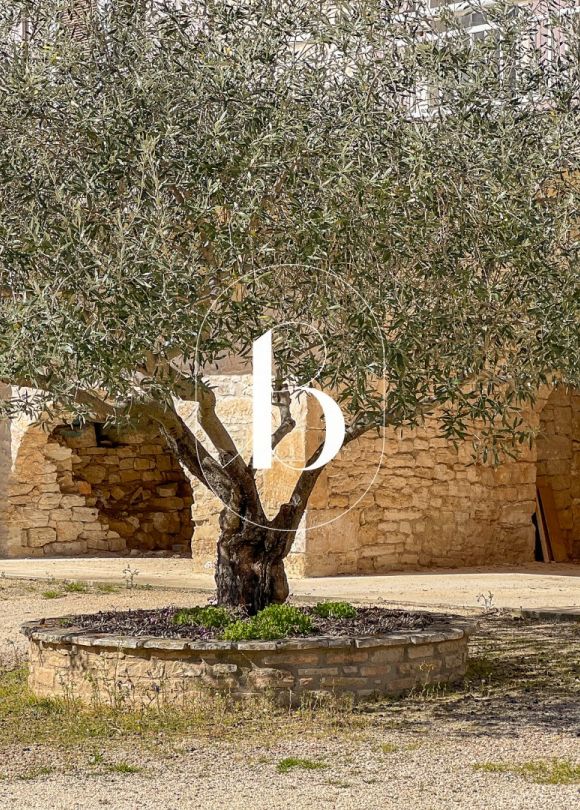 vente Mas Orgnac L'aven