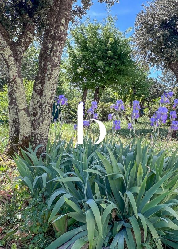 sale Villa Mejannes Le Clap