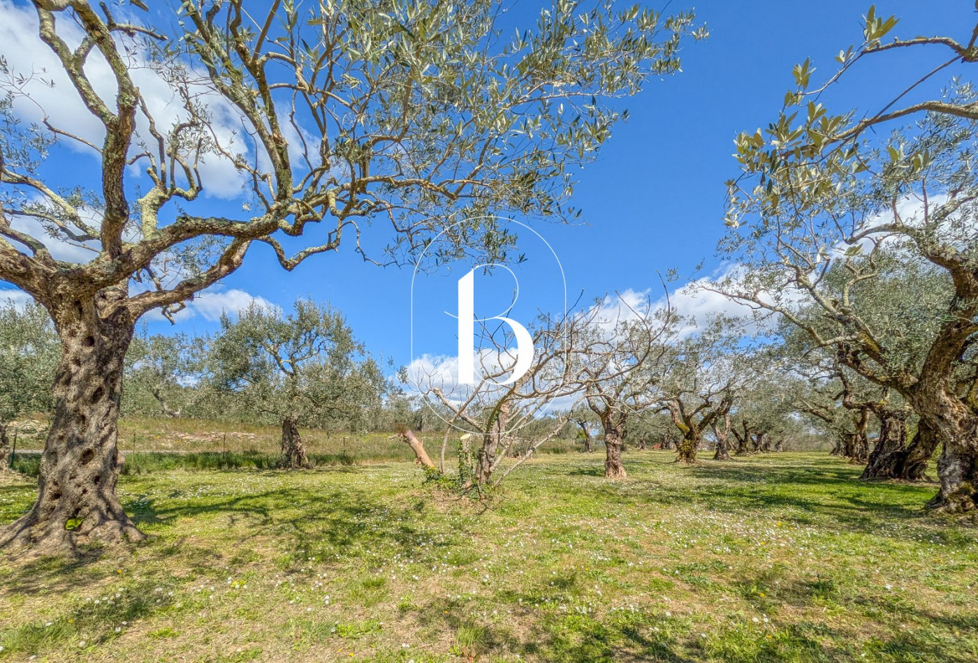 vente Villa Barjac - Photo 3