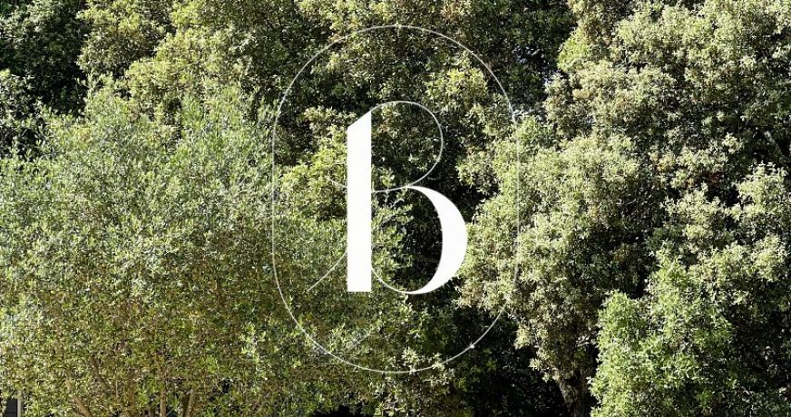vente Maison contemporaine Saint Paulet De Caisson