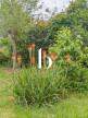 vente Villa Allegre