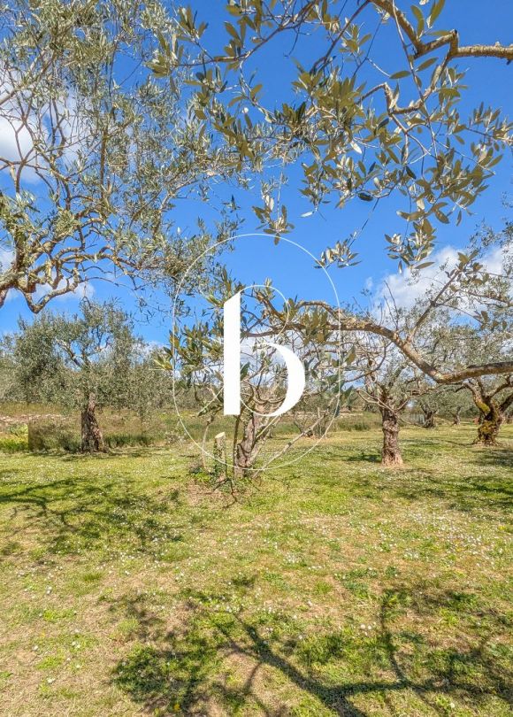 vente Villa Barjac