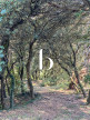 vente Villa Saint Alexandre