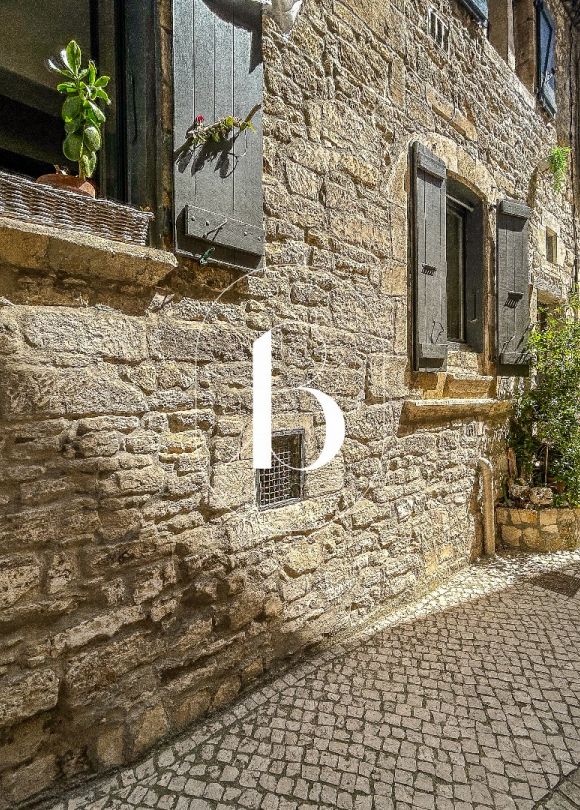 vente Maison de village Barjac