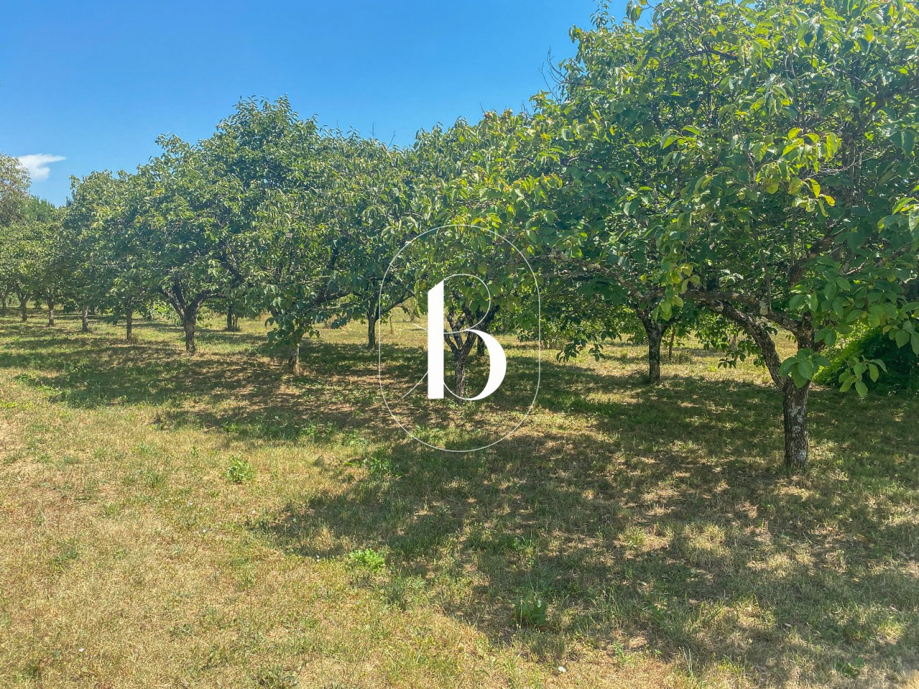 sale Terrain constructible Vallon Pont D'arc
