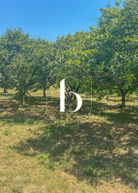 sale Terrain constructible Vallon Pont D'arc