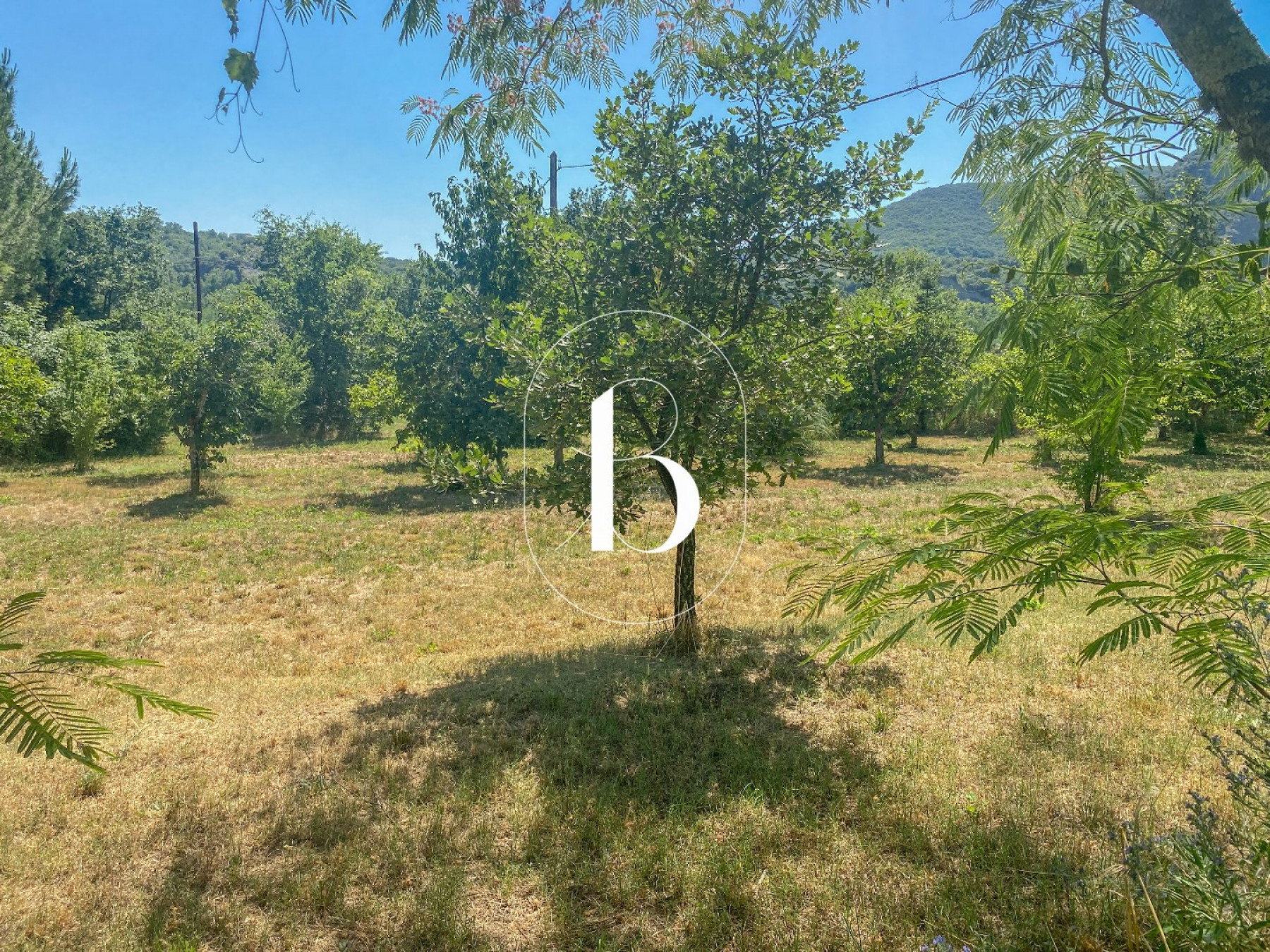 sale Terrain constructible Vallon Pont D'arc