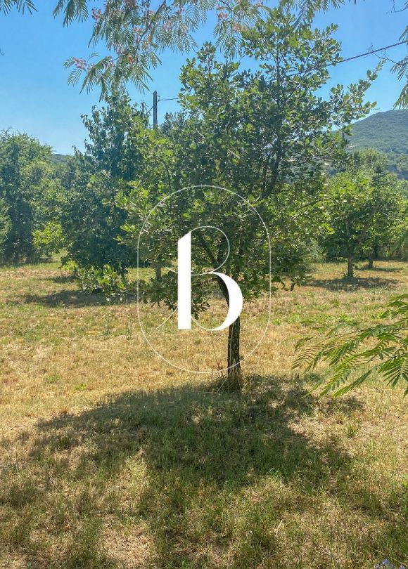 sale Terrain constructible Vallon Pont D'arc