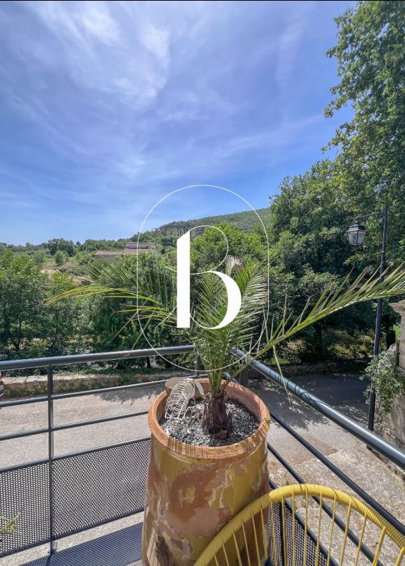 vente Maison de village Saint Sauveur De Cruzieres