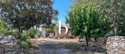 vente Mas Goudargues