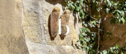 vente Maison de ville Uzes