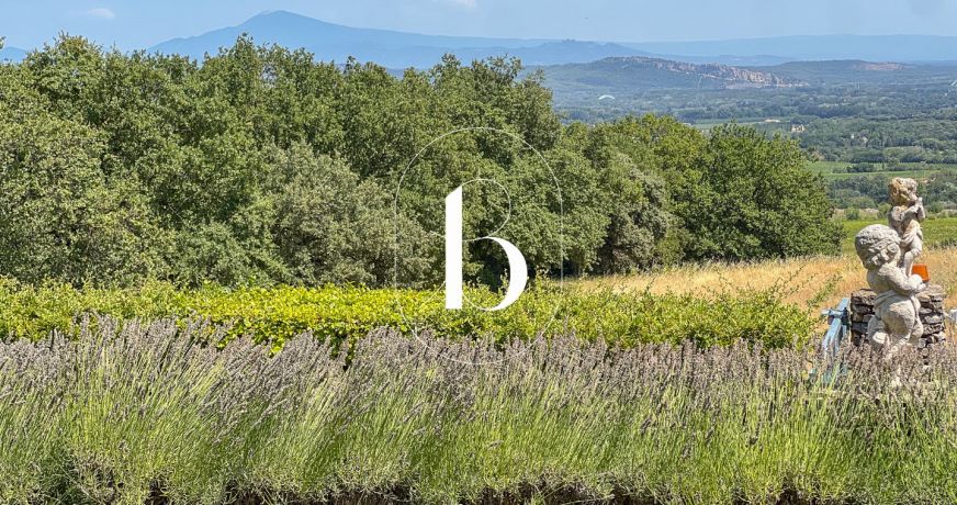 vente Villa Saint Alexandre