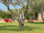 vente Villa Sabran