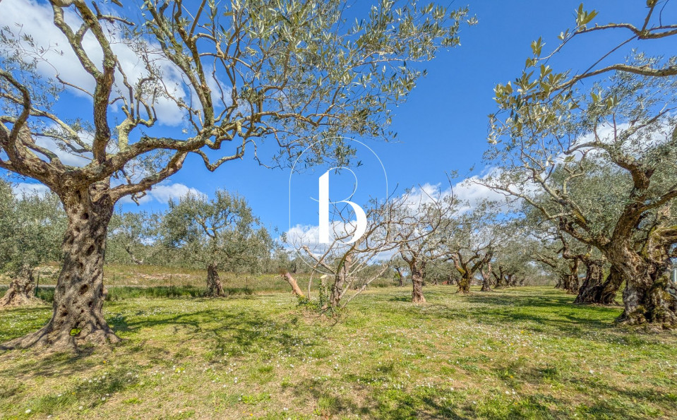 vente Villa Barjac - Photo 4