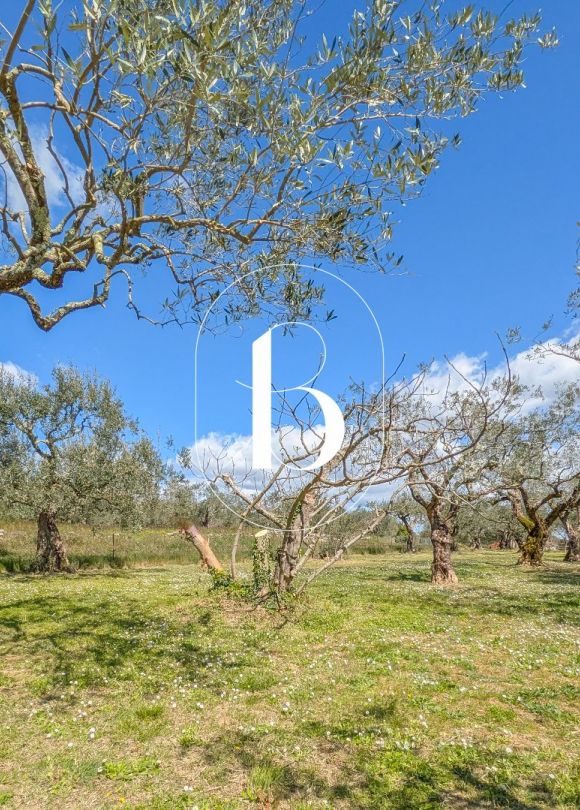 vente Villa Barjac