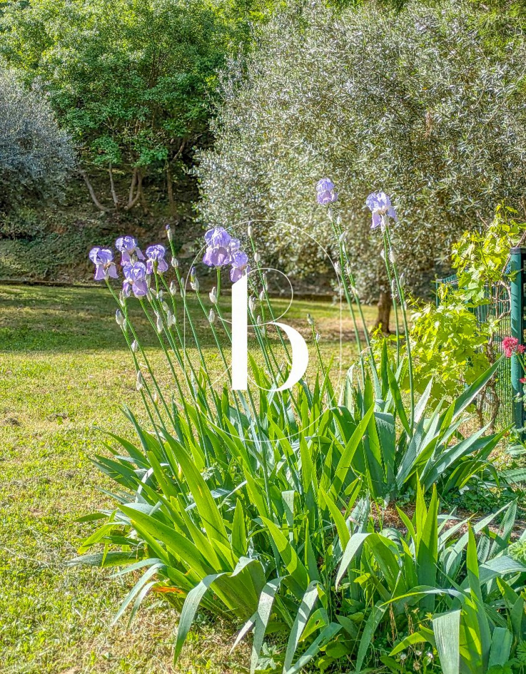 vente Villa Barjac