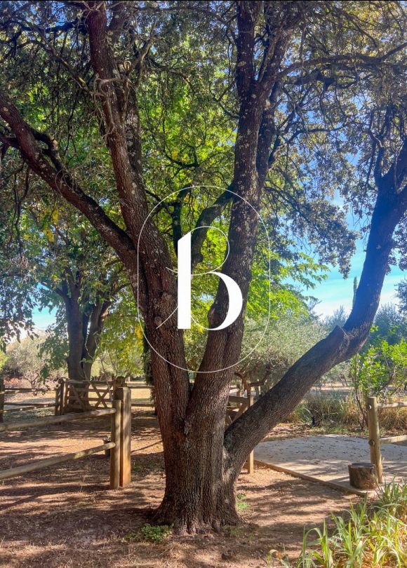 vente Villa Uzes