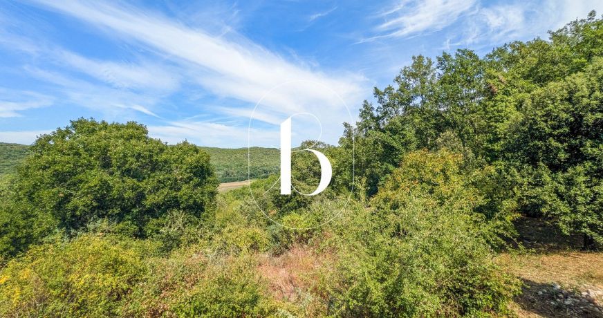 vente Villa Barjac