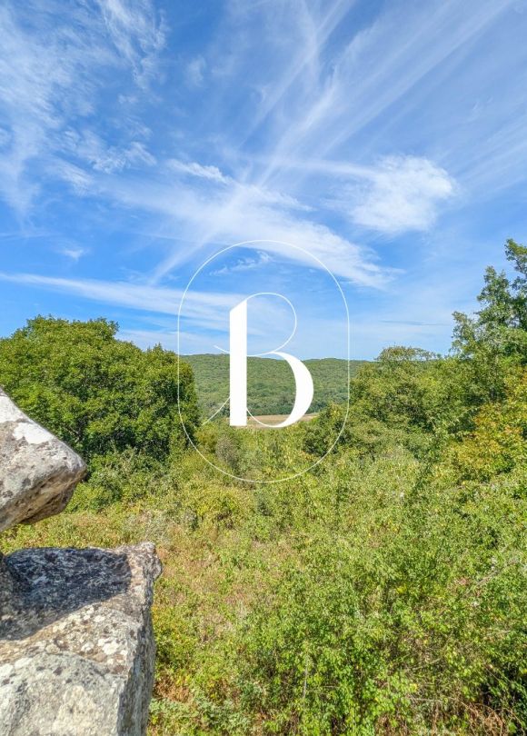 vente Villa Barjac