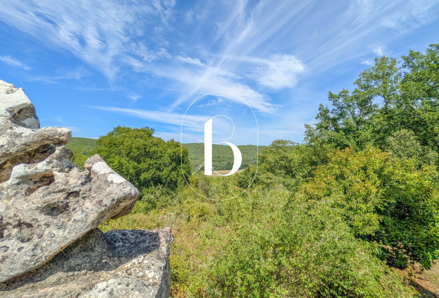 vente Villa Barjac - Photo 5