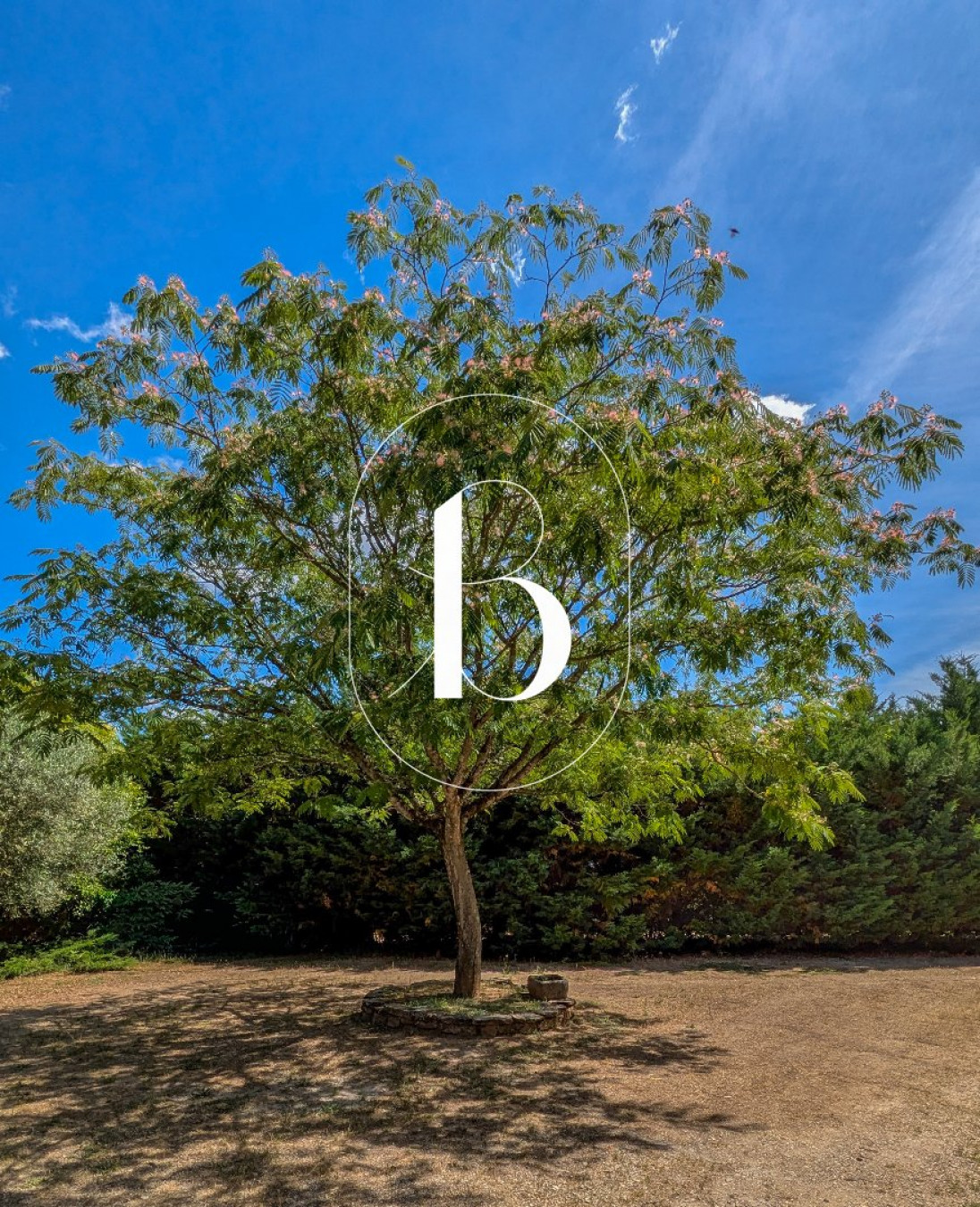vente Villa Barjac