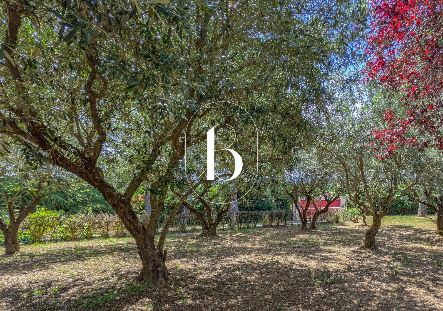 vente Villa Barjac
