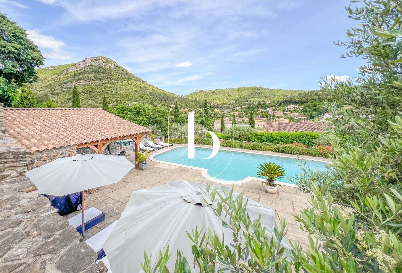 vente Mas Barjac - Photo 2