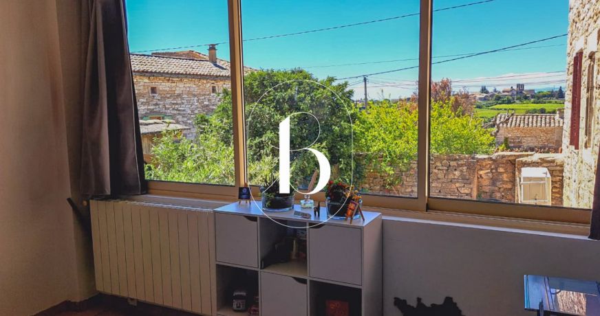 vente Demeure de ville et village Barjac
