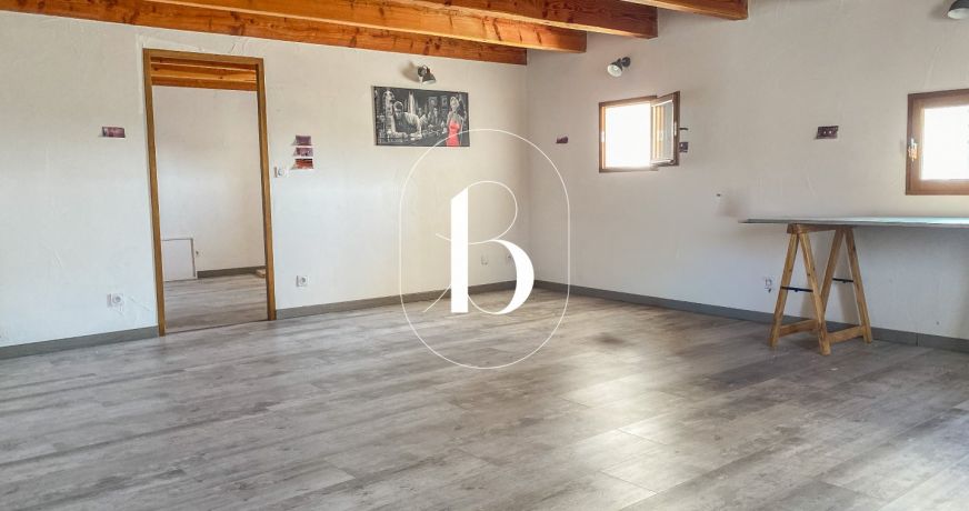 vente Demeure de ville et village Barjac