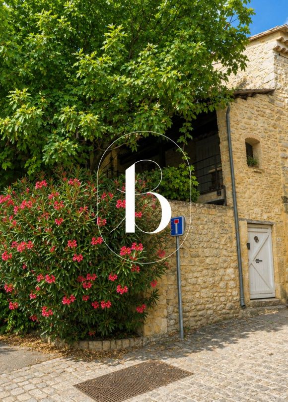 vente Maison de village Venejan