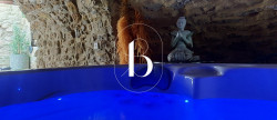vente Maison de village Uzes