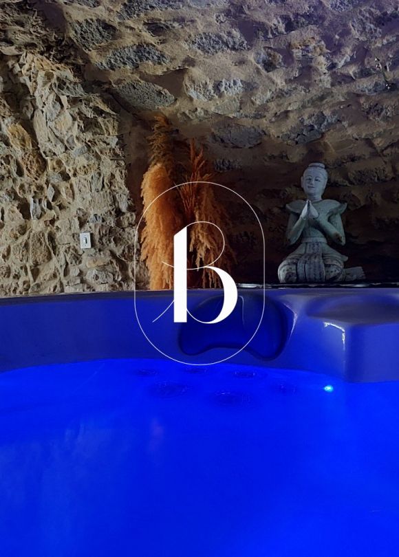 vente Maison de village Uzes