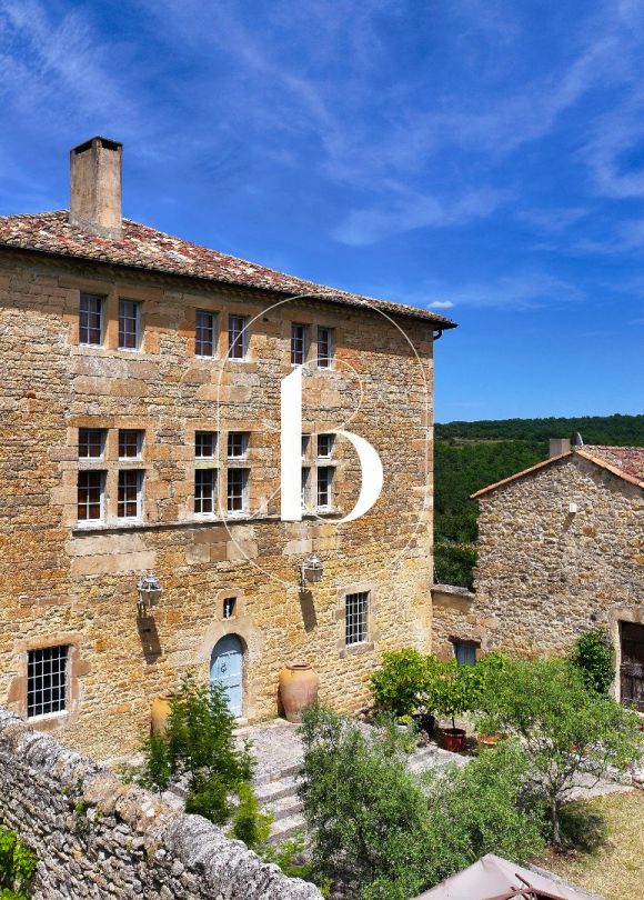vente Château Barjac