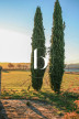 vente Mas Saint Sauveur De Cruzieres