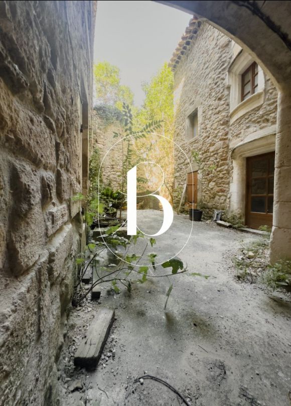 vente Maison de village Saint Julien De Peyrolas