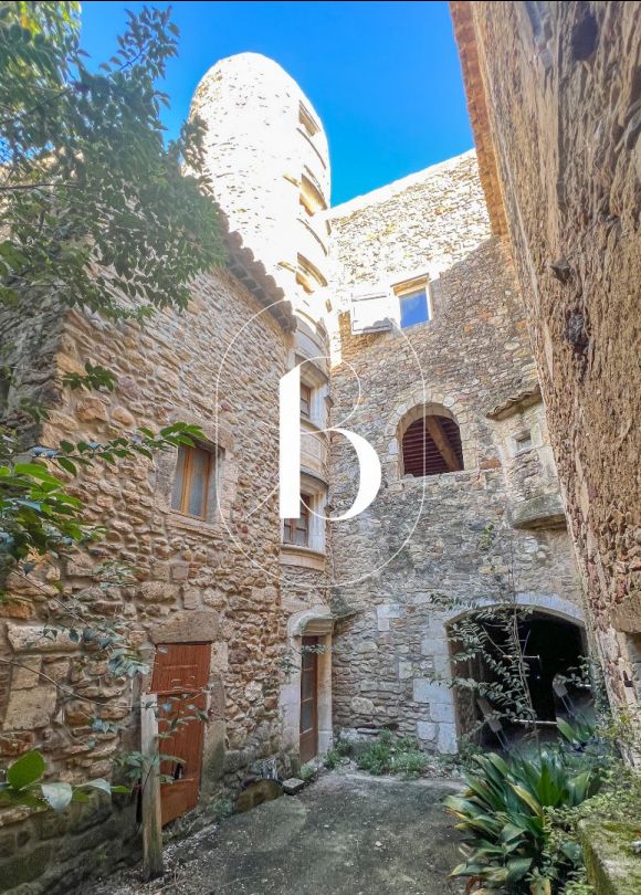 vente Maison de village Saint Julien De Peyrolas