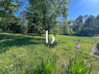 vente Villa Barjac