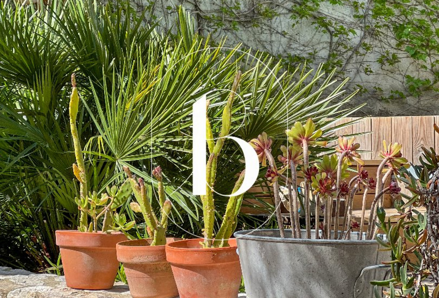 vente Maison de village Uzes - Photo 5