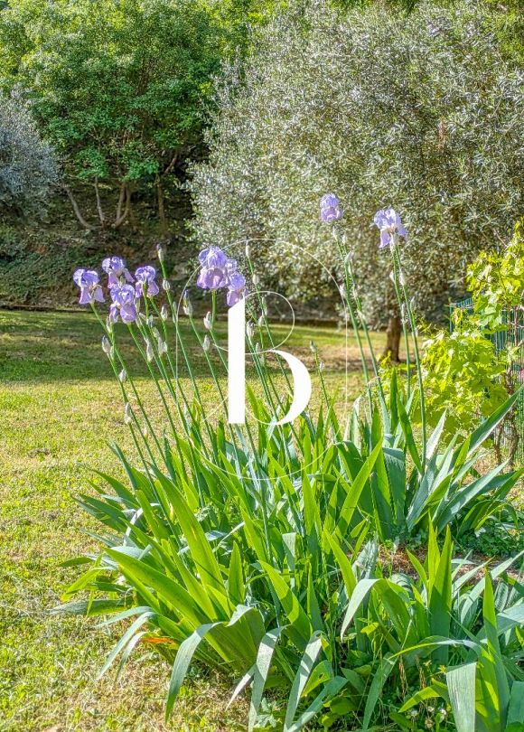 vente Villa Barjac