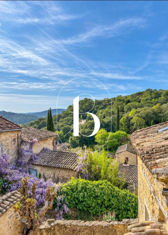 vente Maison de village Goudargues