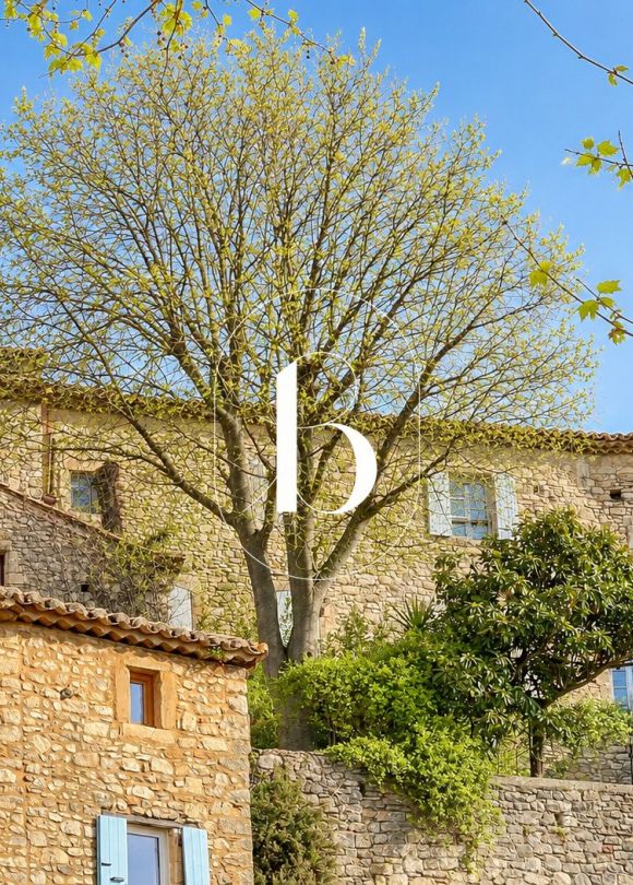 vente Maison de village Goudargues
