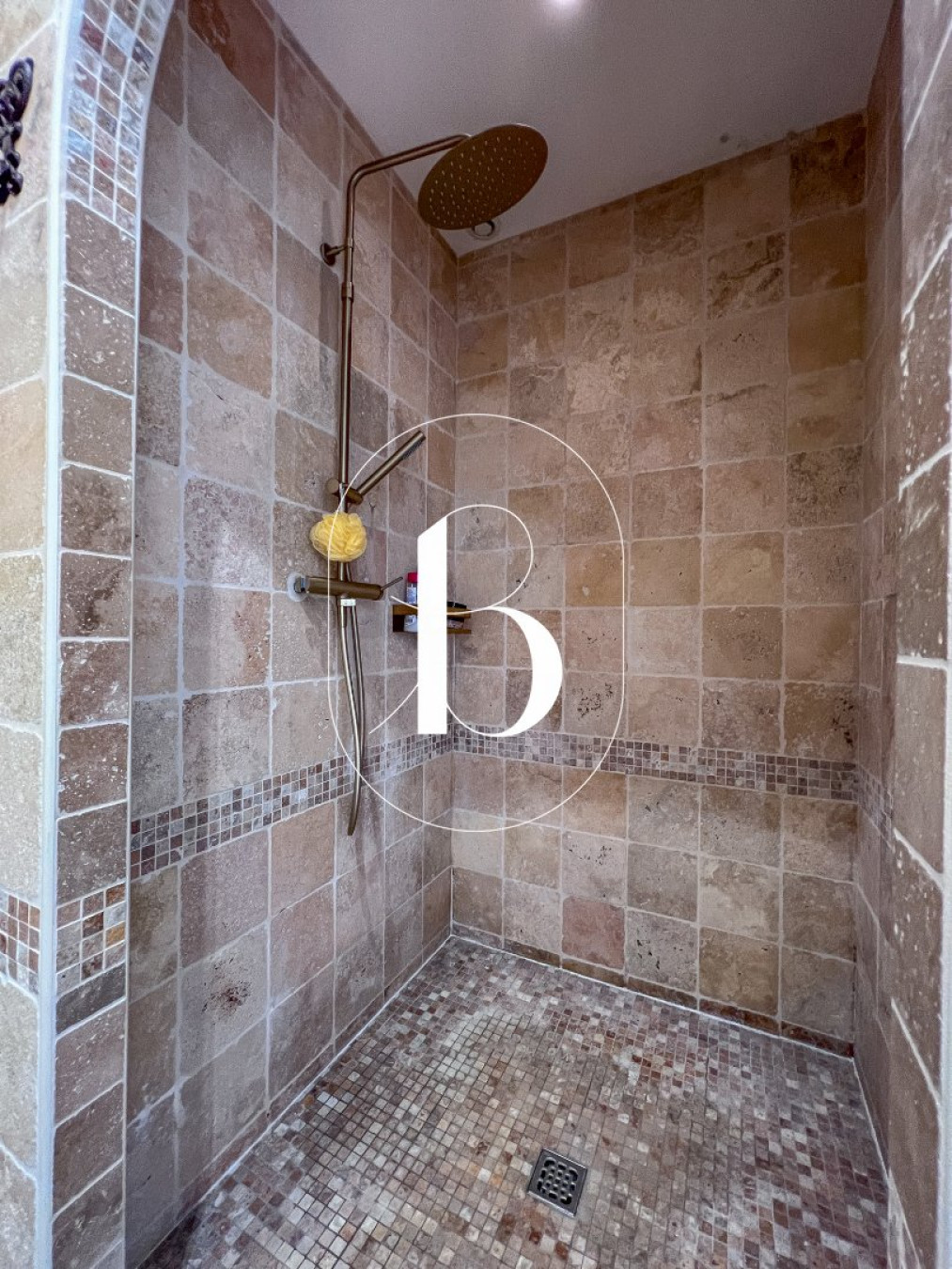 vente Villa Saint Laurent De Carnols