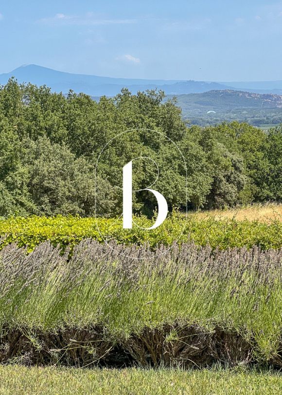 sale Villa Saint Alexandre