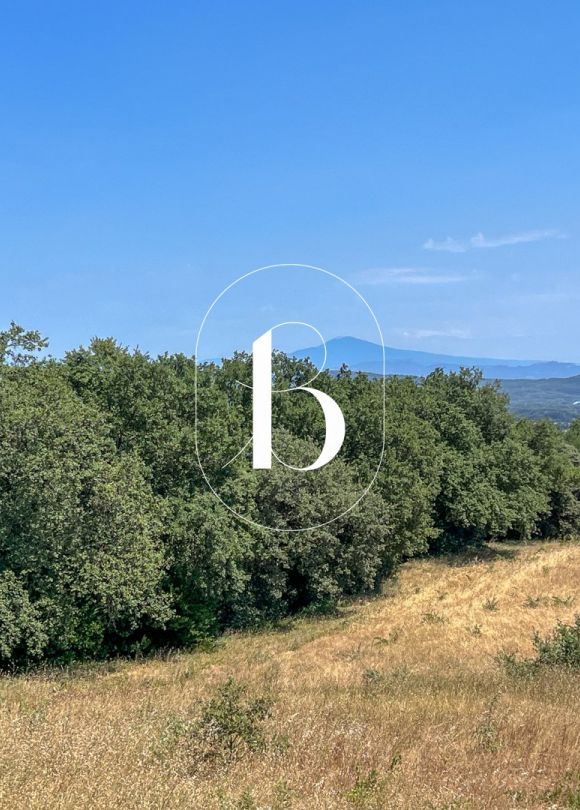 sale Villa Saint Alexandre