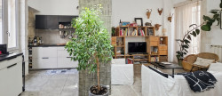 vente Maison de ville Nimes