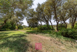 vente Maison Nimes